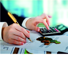 Бюджетное управление